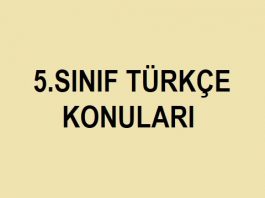 5.sınıf türkçe konuları